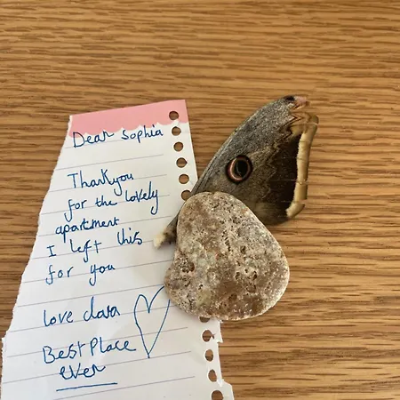 Appartement George Himare