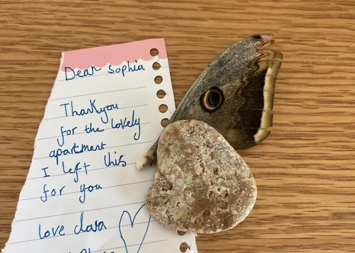 Apartment George Himare